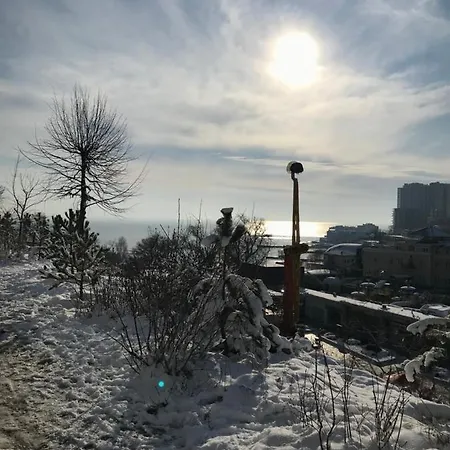 Arcadia Sky